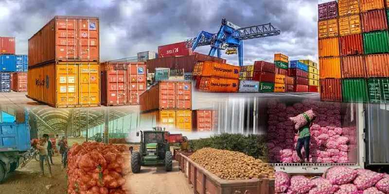 صادرات بدون استرس: خدمات ویژه بالبا برای تازهواردها به بازار جهانی 2 صادرات مواد غذایی - بالبا