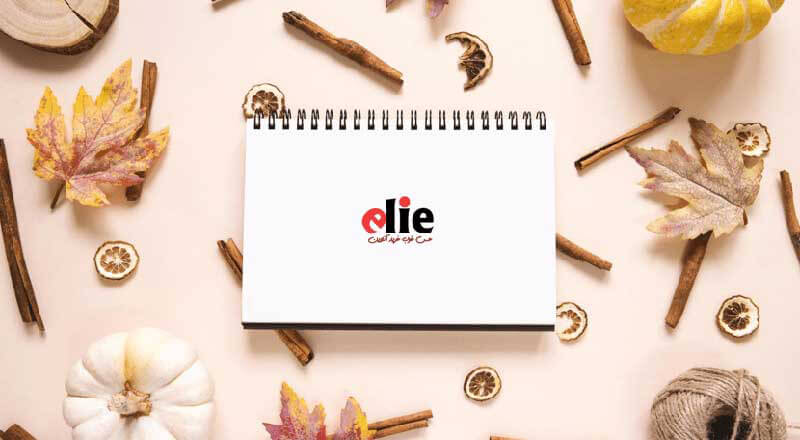 راز دفتر شکرگزاری و تاثیر آن بر ذهن و آرامش روزانه 2 ویژگیهای دفتر شکرگذاری